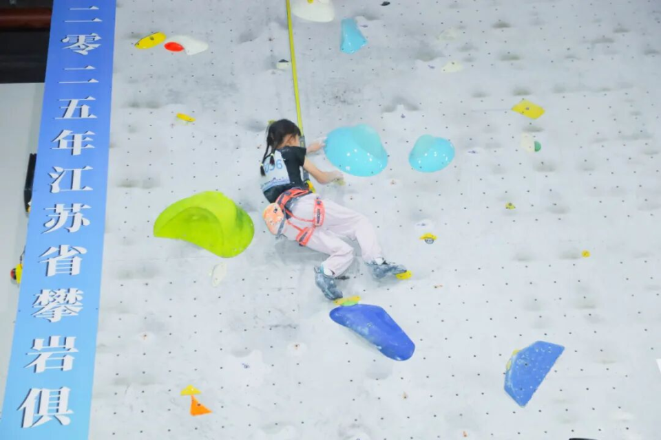 mSjpD, 未来